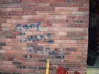 Co-Op Sucks Cock