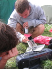 The legendary tape player (sadly no longer with us)